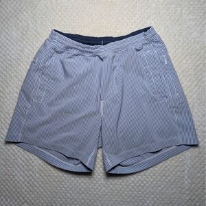 Birddogs Seersucker Striped Lined Shorts Men's M Blue White